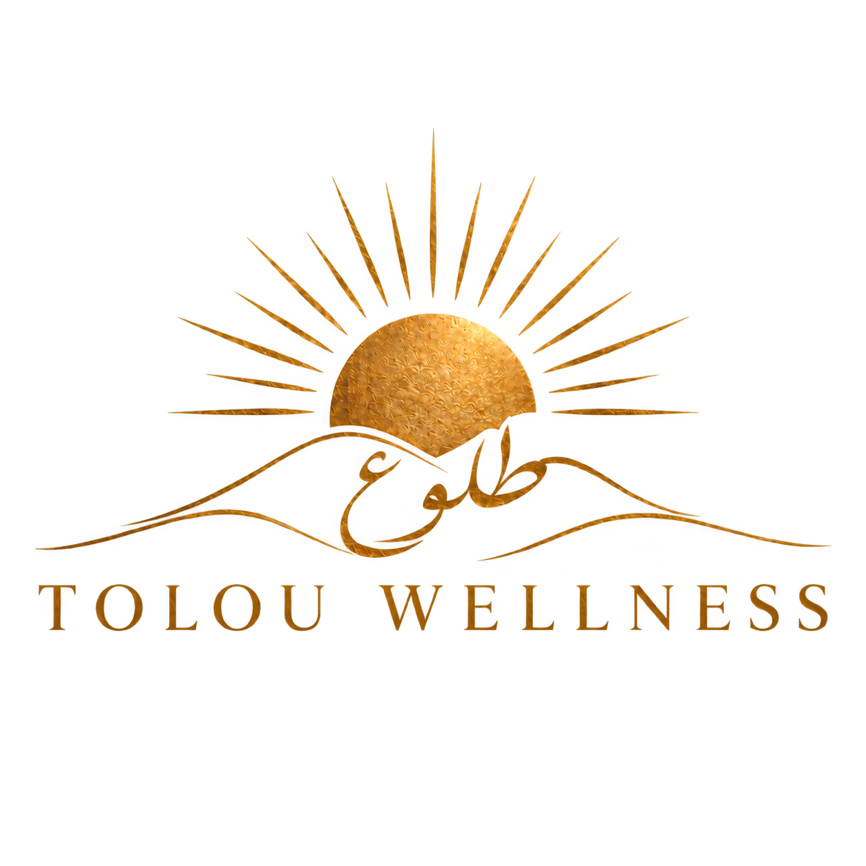 Tolou Wellness logo: a golden sunrise above Persian calligraphy and flowing hills